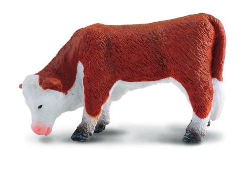 COLLECTA CIELĘ PASĄCE RASY HEREFORD COLLECTA CIELĘ PASĄCE RASY HEREFORD