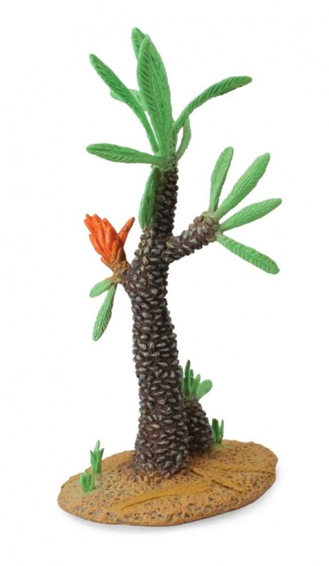 COLLECTA DRZEWO KAKUTS WILLIAMSONIA COLLECTA DRZEWO KAKUTS WILLIAMSONIA