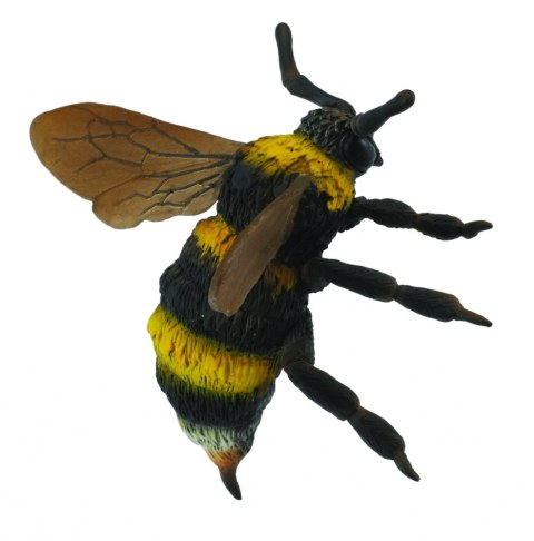 COLLECTA TRZMIEL COLLECTA TRZMIEL
