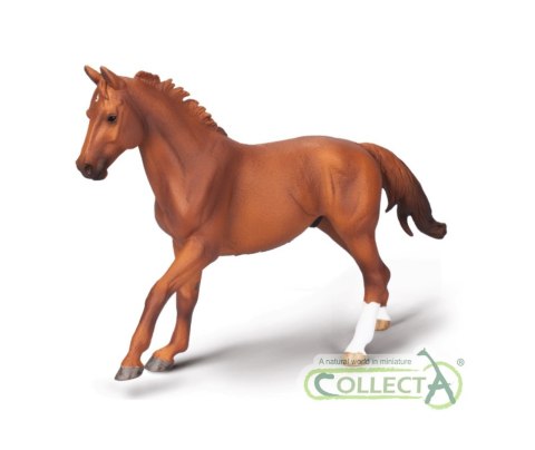 COLLECTA OGIER PHAR LAP MAŚCI KASZTANOWEJ COLLECTA OGIER PHAR LAP MAŚCI KASZTANOWEJ