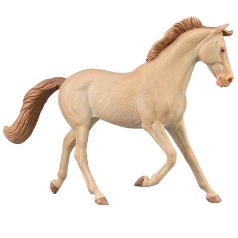 COLLECTA KLACZ THOROUGHBRED MAŚCI PERLINO COLLECTA KLACZ THOROUGHBRED MAŚCI PERLINO