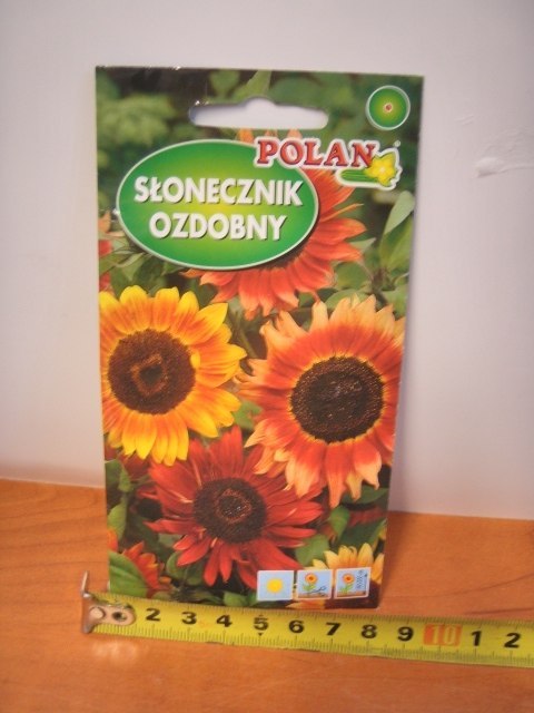 Nasiona 5g SŁONECZNIK OZDOBNY PN3990 Nasiona 5g SŁONECZNIK OZDOBNY PN3990
