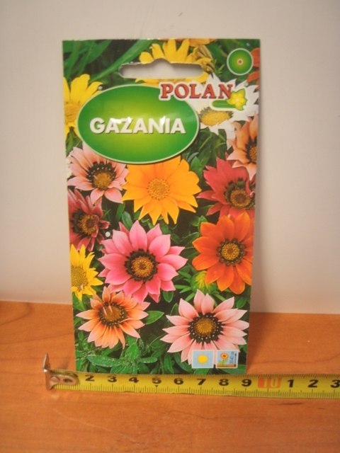 Nasiona GAZANIA PN4078 Nasiona GAZANIA PN4078