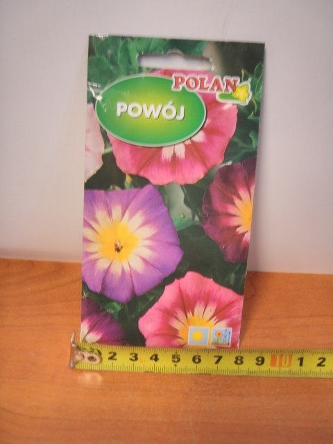 Nasiona POWÓJ TRÓJBARWNY PN3985 Nasiona POWÓJ TRÓJBARWNY PN3985