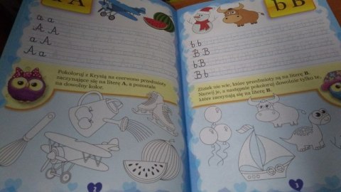 Książka SÓWKI MĄDRE GŁÓWKI | 602071 Książka SÓWKI MĄDRE GŁÓWKI | 602071