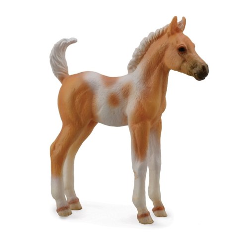COLLECTA ŹREBIE PINTO PALOMINO STOJĄCE COLLECTA ŹREBIE PINTO PALOMINO STOJĄCE