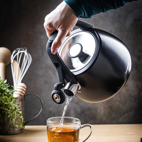 CZAJNIK STALOWY Z GWIZDKIEM 2,5L KLAUSBERG KB-7774 KLAUSBERG