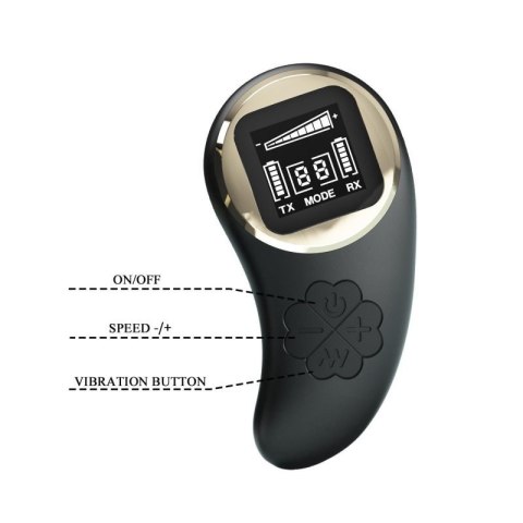 PRETTY LOVE - Nathan, Wireless remote control 9 speed levels 10 vibration functions, ABS Silicone , USB rechargeable Boss of toys