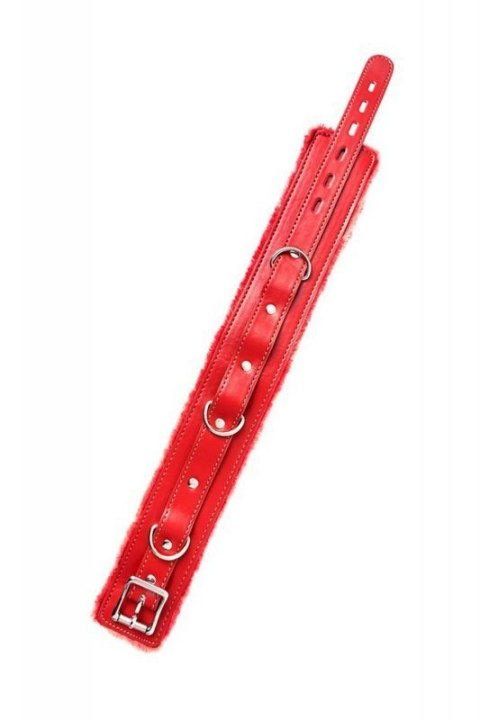 Anonymo collar, PU leather, red Boss of toys Anonymo collar, PU leather, red Boss of toys