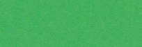 Karton kolorowy 170g A1 25 ark zielony