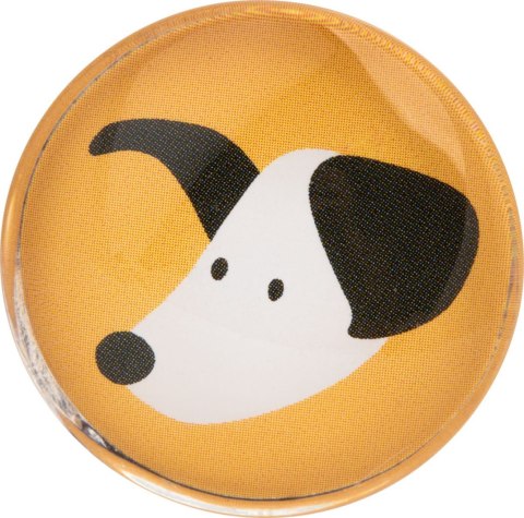 Magnesy szklane Zestaw CAT&DOG 6 szt