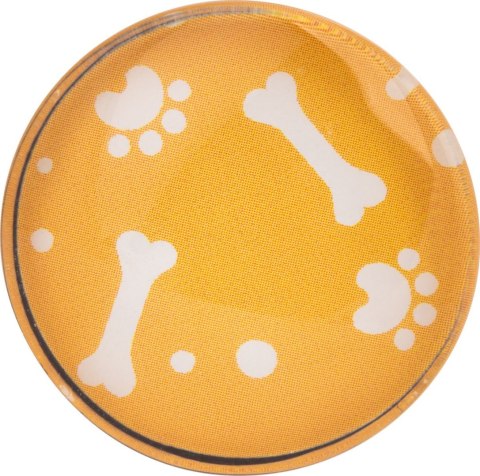 Magnesy szklane Zestaw CAT&DOG 6 szt