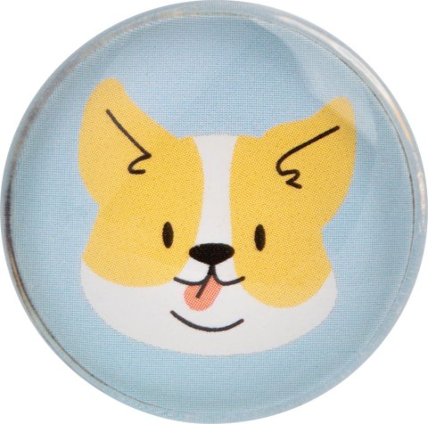 Magnesy szklane Zestaw CAT&DOG 6 szt