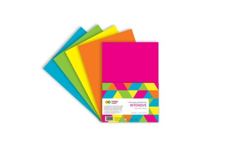 Arkusze piankowe INTENSIVE A4 5 ark 5 kolorow Arkusze piankowe INTENSIVE A4 5 ark 5 kolorow