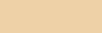 Karton kolorowy 170g A2 25 ark chamois