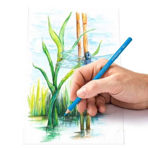 Kredki akwarelowe sześciokątne Design Journey 24 kol. Staedtler Kredki akwarelowe sześciokątne Design Journey 24 kol. Staedtler