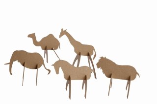 Zestaw kształtów tekturowych 3D AFRICA 5 szt 1512 cm