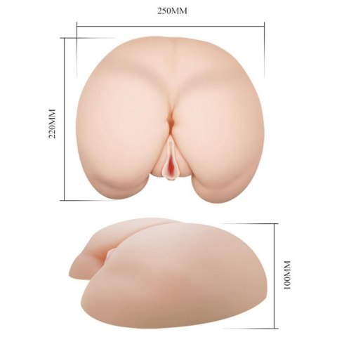 BAILE- VAGINA AND ASS, Vibration Rotation Heating function Sex talk Boss of toys
