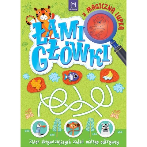 Łamigłówki z magiczną lupką. Zbiór aktywizujących zadań małego odkrywcy Łamigłówki z magiczną lupką. Zbiór aktywizujących zadań małego odkrywcy