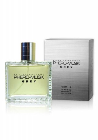 Feromony-PHERO-MUSK GREY 100 ml for men Boss of toys