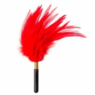 Piórko- Tickler Burlesque Plume Red Boss of toys