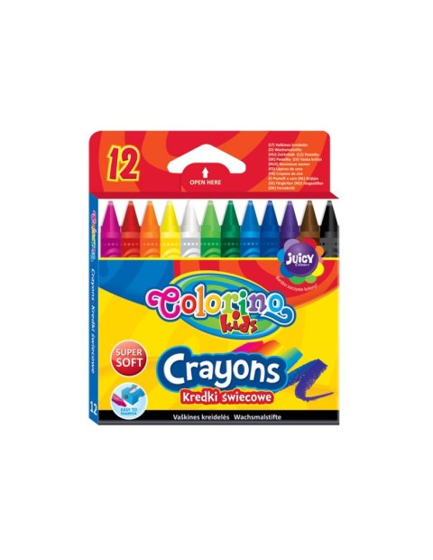 Colorino wyprawka szkolna premium + TECZKA GRATIS