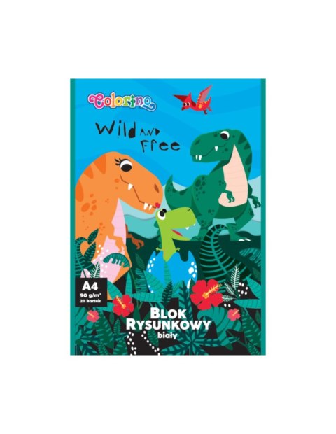 Colorino wyprawka szkolna premium + TECZKA GRATIS