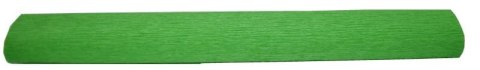 Bibuła krepina 200x50cm zielony | nr 117 Bibuła krepina 200x50cm zielony | nr 117