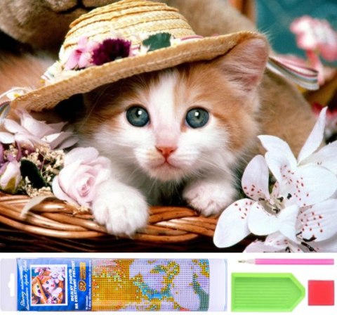 DIAMOND PAINTING HAFT DIAMENTOWY MOZAIKA ZESTAW 5D NORIMPEX
