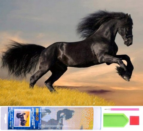 DIAMOND PAINTING HAFT DIAMENTOWY MOZAIKA ZESTAW 5D NORIMPEX