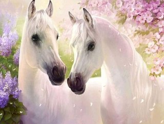 DIAMOND PAINTING HAFT DIAMENTOWY MOZAIKA ZESTAW 5D NORIMPEX