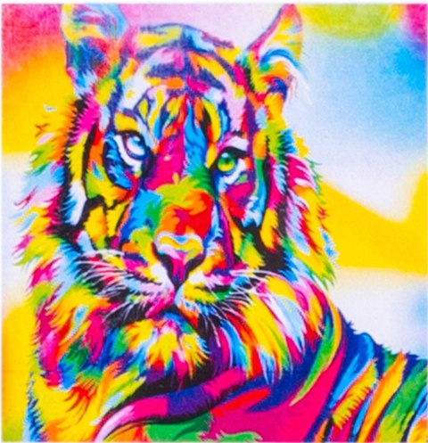 DIAMOND PAINTING HAFT DIAMENTOWY MOZAIKA ZESTAW 5D NORIMPEX