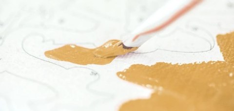 OBRAZ MALOWANIE PO NUMERACH PREZENT DAMA 50C+ RAMA NORIMPEX