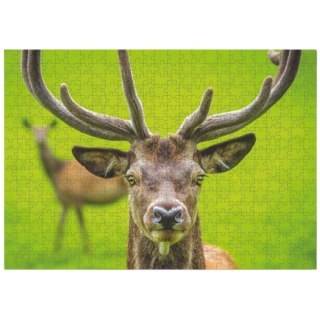 PUZZLE JELEŃ 500 ELEMENTÓW DO UŁOŻENIA KOLOROWY OBRAZEK JELONKA DLA DZIECI DODO