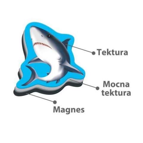 ZESTAW MAGNETYCZNY MORSKIE ŻYCIE Z TABLICĄ MAGNESY UKŁADANKA ROTER KAFER ROTER KAFER ZESTAW MAGNETYCZNY MORSKIE ŻYCIE Z TABLICĄ MAGNESY UKŁADANKA ROTER KAFER ROTER KAFER