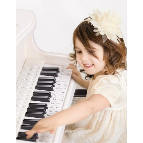 PIANO IMPORT PRONICE