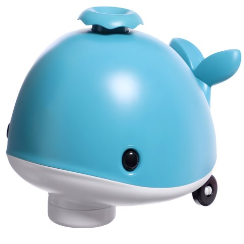 B/O CETACEAN IMPORT PRONICE