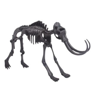ARCHAEOLOGICAL EXCAVATION MAMMOTH SUIT IMPORT PRONICE