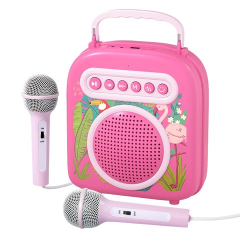 ZESTAW DO KARAOKE DLA DZIECI 2 MIKROFONY GŁOŚNIK FUNKCJA BLUETOOTH MUZYKA IMPORT PRONICE