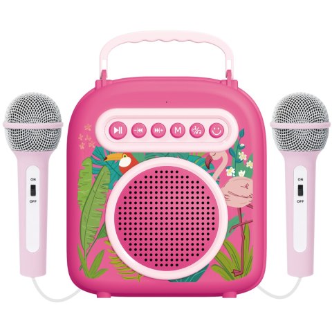 ZESTAW DO KARAOKE DLA DZIECI 2 MIKROFONY GŁOŚNIK FUNKCJA BLUETOOTH MUZYKA IMPORT PRONICE