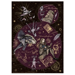 PUZZLE HARRY POTTER ZESTAW UKŁADANKA 500 KOLOROWYCH ELEMENTÓW MAGIA DODO