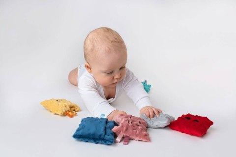 EMOCJE WORECZKI SENSORYCZNE ZESTAW 6 SZTUK KOLOROWE WORECZKI Z MINKAMI HENCZ TOYS (MOM'S CARE)