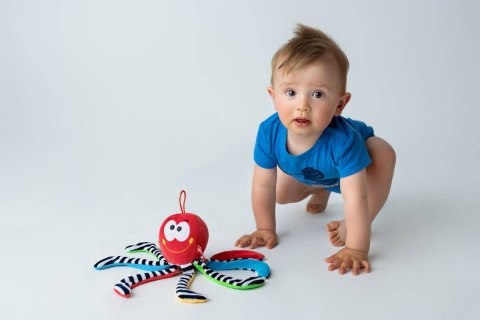MINI OŚMIORNICA CZERWONA MASKOTKA DO SPANIA SENSORYCZNA PRZYTULANKA HENCZ TOYS (MOM'S CARE) MINI OŚMIORNICA CZERWONA MASKOTKA DO SPANIA SENSORYCZNA PRZYTULANKA HENCZ TOYS (MOM'S CARE)