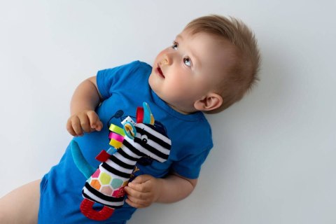 TYMEK PISZCZEK Z GRYZAKIEM ZEBRA ZABAWKA SENSORYCZNA MIĘKKA PISZCZAŁKA HENCZ TOYS (MOM'S CARE) TYMEK PISZCZEK Z GRYZAKIEM ZEBRA ZABAWKA SENSORYCZNA MIĘKKA PISZCZAŁKA HENCZ TOYS (MOM'S CARE)