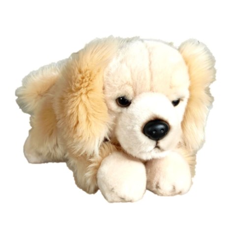 Maskotka Pies Retriver Leżący Duży Pluszak 30cm Miękka Przytulanka Miś DUBI Maskotka Pies Retriver Leżący Duży Pluszak 30cm Miękka Przytulanka Miś DUBI