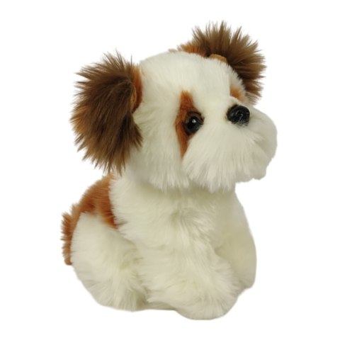 Maskotka Pies Shih Tzu Mały Pluszak 18cm Miękka Przytulanka Miś Piesek DUBI Maskotka Pies Shih Tzu Mały Pluszak 18cm Miękka Przytulanka Miś Piesek DUBI